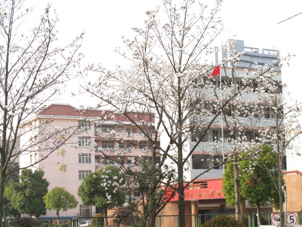 微信图片_20221114152136.jpg