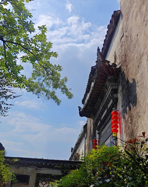 作品：檐下艳色摄影：高一（16）班  王歆瑶.jpg