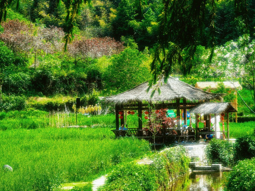 作品：茵梦摄影：高一（16）班 胡安琪.jpg