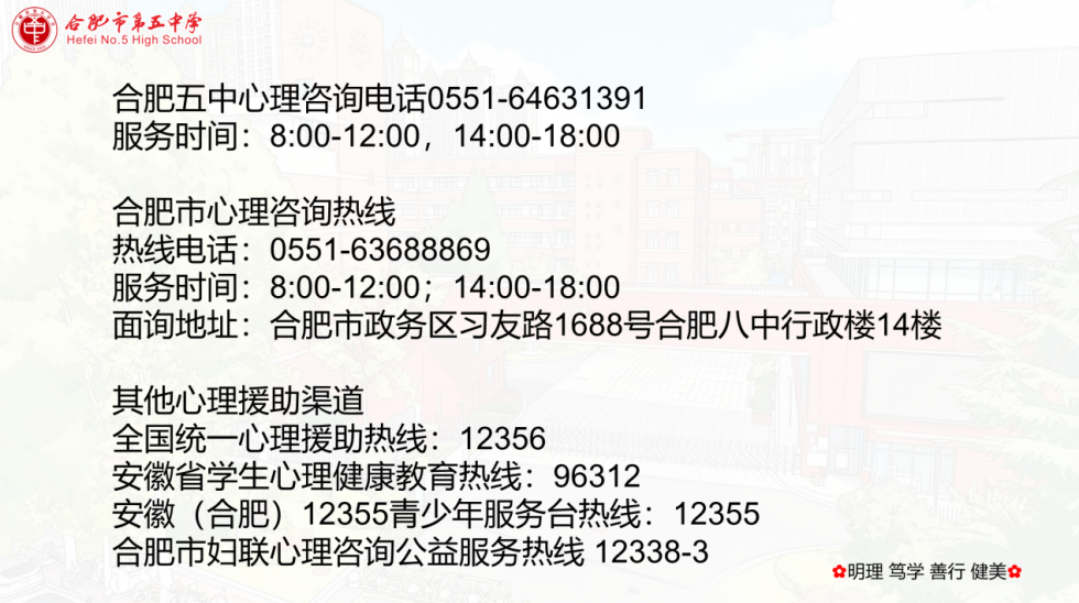 图片 12.png
