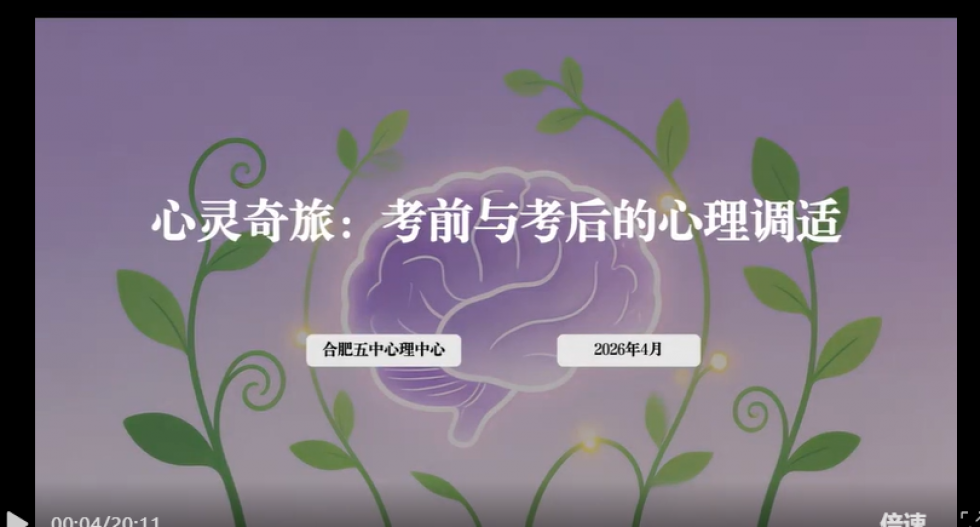 图片 28.png