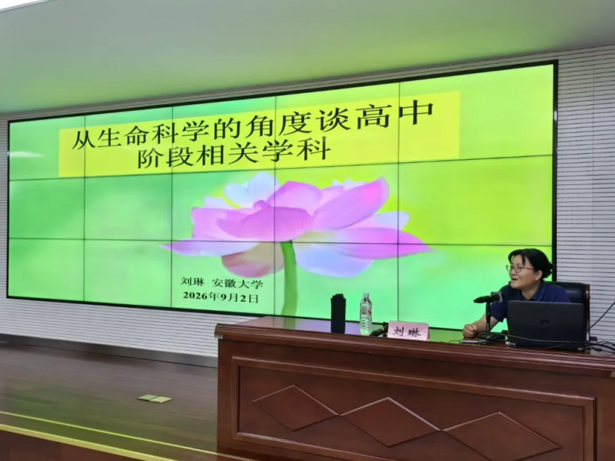 图片 5.png